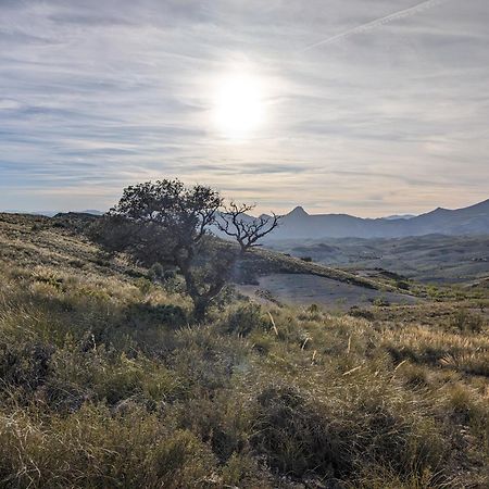 Cortijo Claudia Konuk evi Taberno Dış mekan fotoğraf