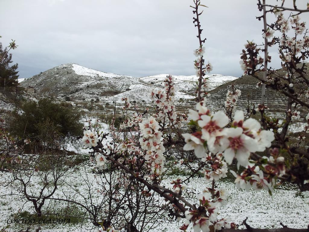 Cortijo Claudia Konuk evi Taberno Dış mekan fotoğraf