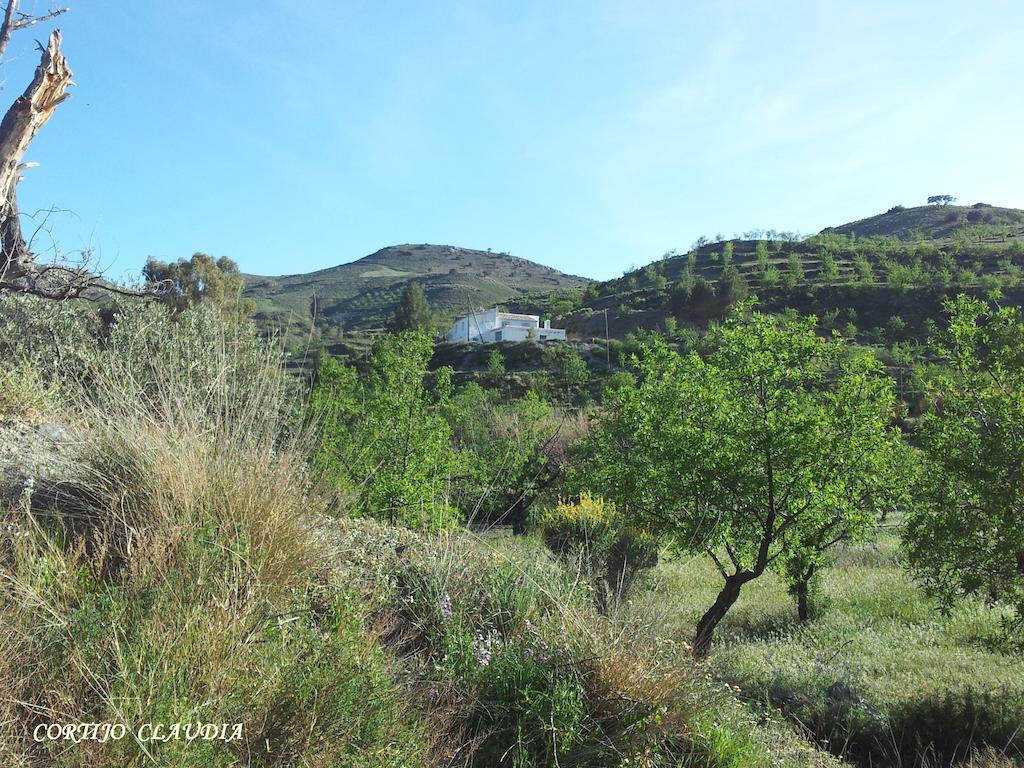Cortijo Claudia Konuk evi Taberno Dış mekan fotoğraf