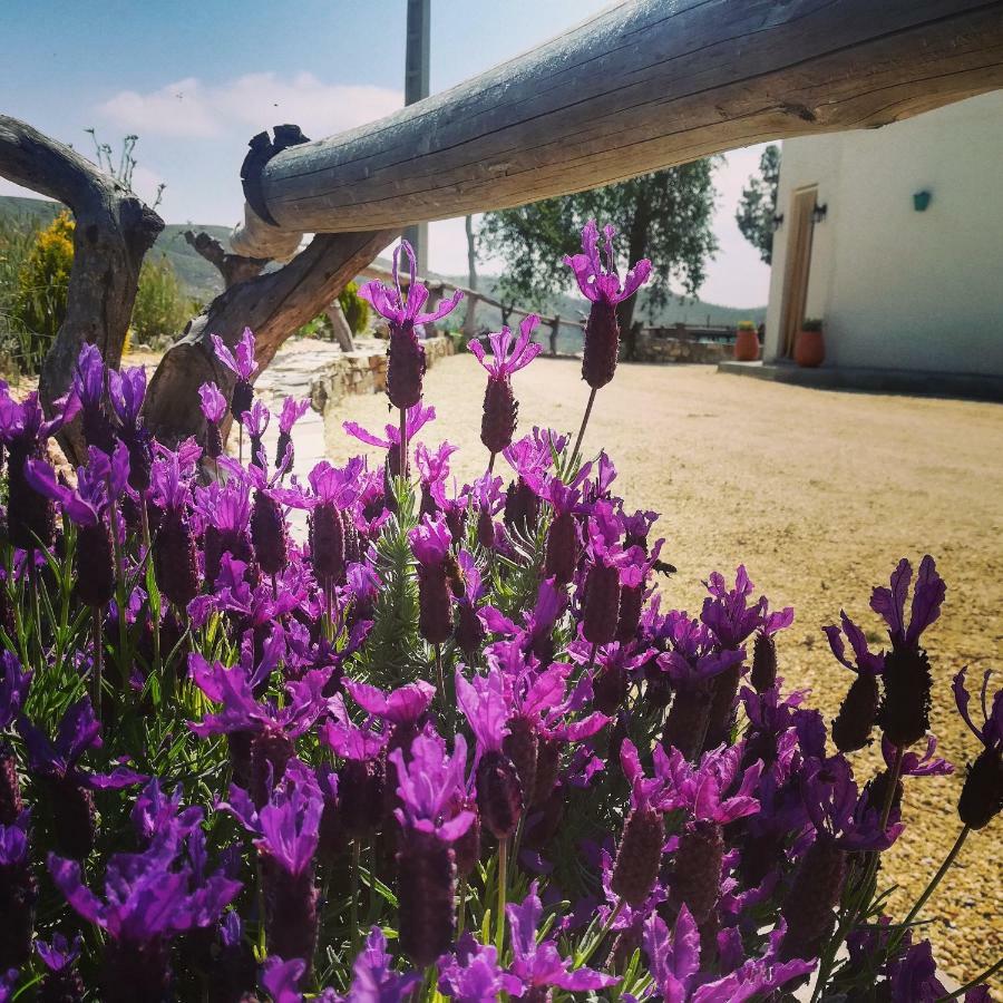 Cortijo Claudia Konuk evi Taberno Dış mekan fotoğraf